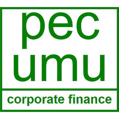 pecumu - corporate finance consulting - favicon